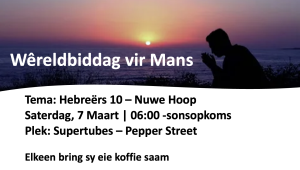 Screenshot 2026-02-20 at 19.50.45